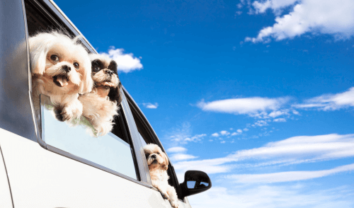 Discover the Best Dash Cam UK for Enhanced Road Safety